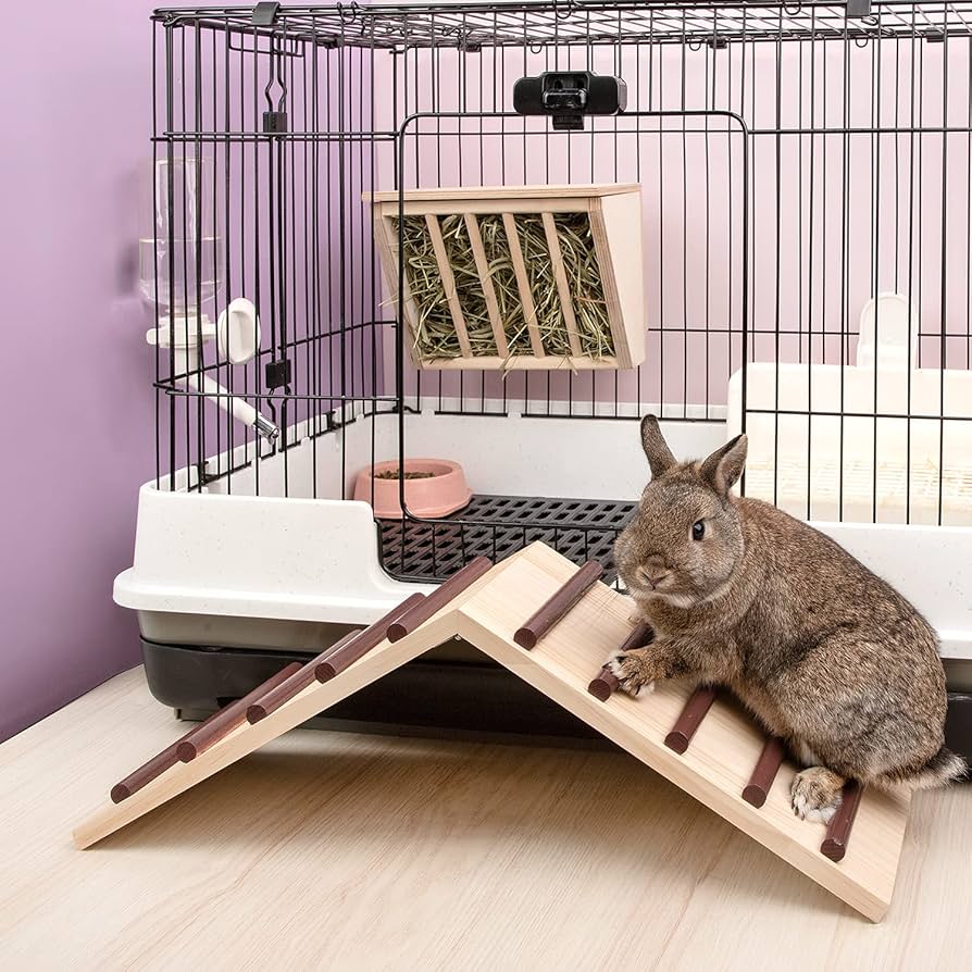 木曜日まで値下げ！うさぎ、チンチラ、モルモット飼育セット うさぎ ケージ モルモット チンチラ 小動物 大型 小型 ゲージ